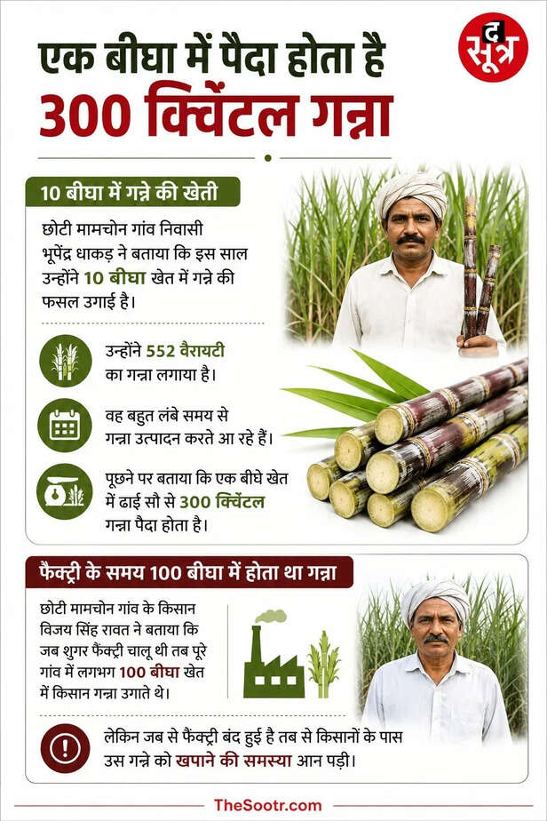 sugarcane farmers morena