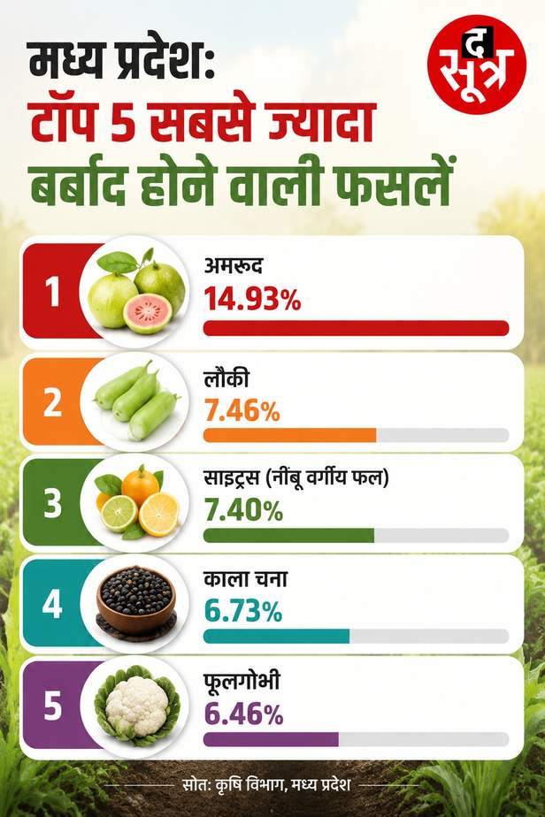 crop-loss-post-harvest-management-states