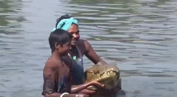 मगरमच्छ गंगाराम