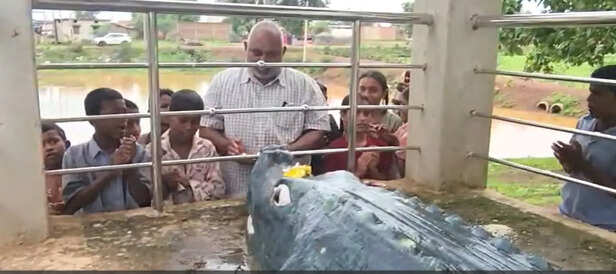 मगरमच्छ गंगाराम