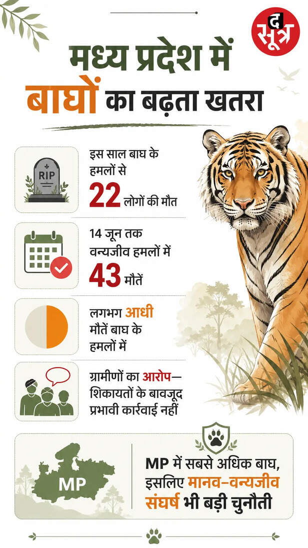 kanha-national-park-balaghat-tiger-attack
