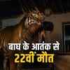 बालाघाट में घर में सोती महिला को जंगल ले भागा बाघ