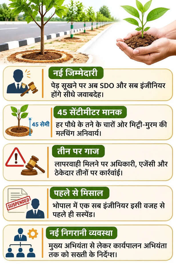 पेड़ संरक्षण नियम
