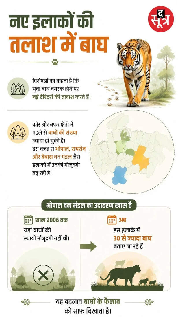 mp-tiger-population-expected-reach