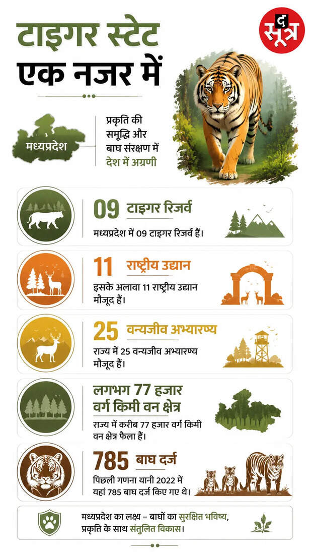 mp-tiger-population-expected-reach