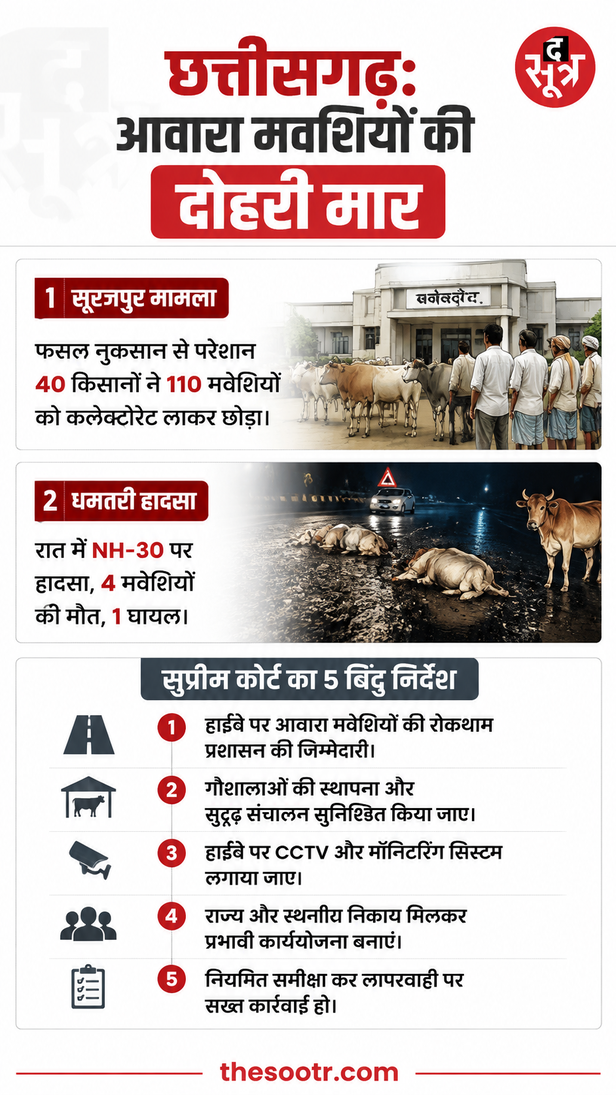 छत्तीसगढ़ आवारा मवेशी समस्या