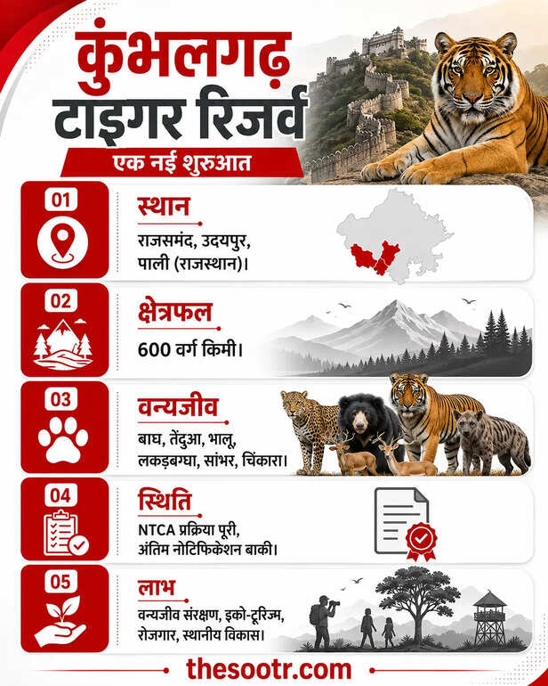 कुंभलगढ़ टाइगर रिजर्व बनने की राह साफ, अंतिम नोटिफिकेशन का इंतजार
