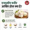 ANALOG PANEER