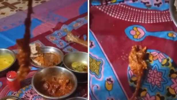 होटल से पैक करवाया मटन कोल्हापुरी... दो बच्चों के खाते ही दिखा आधा मरा हुआ चूहा, Video वायरल