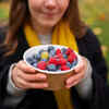 Berries Bring Powerful Antioxidants