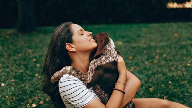 Your pet may know that something has changed, but not why