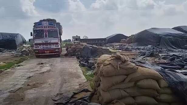 7 करोड़ का धान खराब 