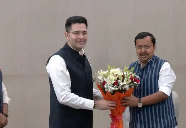 raghav chadha (3)