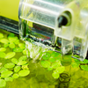 Follow the filter manufacturer’s cleaning instructions and avoid unnecessarily replacing established biological media.