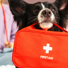 Dog portable first aid kit