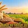 किसानों की बल्ले-बल्ले! कुसुम, सरसों, मसूर की MSP में बंपर बढ़ोतरी, गेहूं को भी मिला फायदा | Farmers' Joy! Bumper Increase in MSP for Safflower, Mustard, Lentils, Wheat Also Benefits