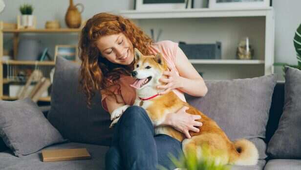 What should pet parents do?
