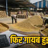 धान खरीदी के हिसाब में गड़बड़ी