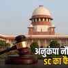 सुप्रीम कोर्ट का बड़ा फैसला: पोते को मिलेगी दादी की नौकरी, रेलवे की याचिका खारिज | Supreme Court's Big Decision: Grandson will get grandmother's job, Railway's petition dismissed
