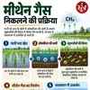 IISER Bhopal Rice Study