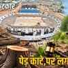 bhopal-stadium-ngt-tree-order