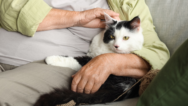Pet in old-age home