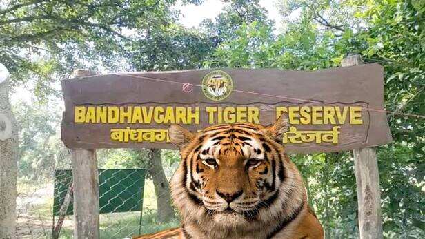 Bandhavgarh Tiger Reserve