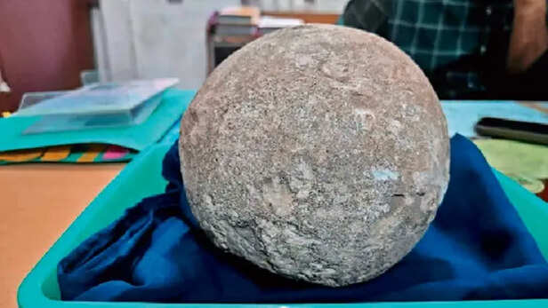 मध्य प्रदेश में गूंजती थी डायनासोरों की दहाड़, 6.5 करोड़ साल पुराना अंडा  प्रदर्शित