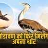 गोडावण को फिर मिलेगा अपना थार
