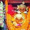 Navratri 2022 रतनपुर महामाया मंदिर में शुरू हुआ नवरात्र, 25 हजार ज्योतिकलश  प्रज्जवलित