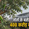 तोतों के आशियाने पर मेट्रो का खतरा: 400 करोड़ बढ़ी लागत, स्टेशन शिफ्ट करना मुश्किल | Metro's threat to parrot habitat: 400 crore increased cost, shifting station difficult