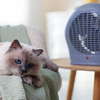 pets and heaters
