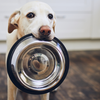 Food is a recurring expense
