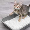 Cat litter