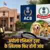 जयपुर अपोलो एनिमल ट्रस्ट करोड़ों का घोटाला: हाईकोर्ट ने ACB को दिए नए सिरे से जांच के आदेश | Jaipur Apollo Animal Trust Crore Scam: High Court Orders ACB to Re-investigate