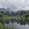 Monsoon Wetland Awakening