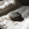 Stone and Herb Still Life
