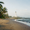 Tropical Lighthouse Dawn