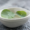 Cream and Centella Asiatica