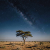 Rajasthan Desert Night Sky