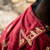 Embroidered Horse Caparison