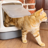Trouble urinating or defecating