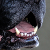Bad breath and mouth changes
