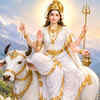 Maa Mahagauri in Divine Mountain Radiance