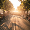 Golden Hour Procession Awaits
