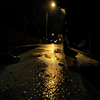 Midnight Pavement's Golden Pool