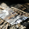 Nature's Discarded Trio