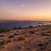 Desert Solar Farm at Dusk