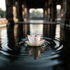 Dawn's First Light on Lotus