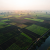 Dawn over Indian Farmland